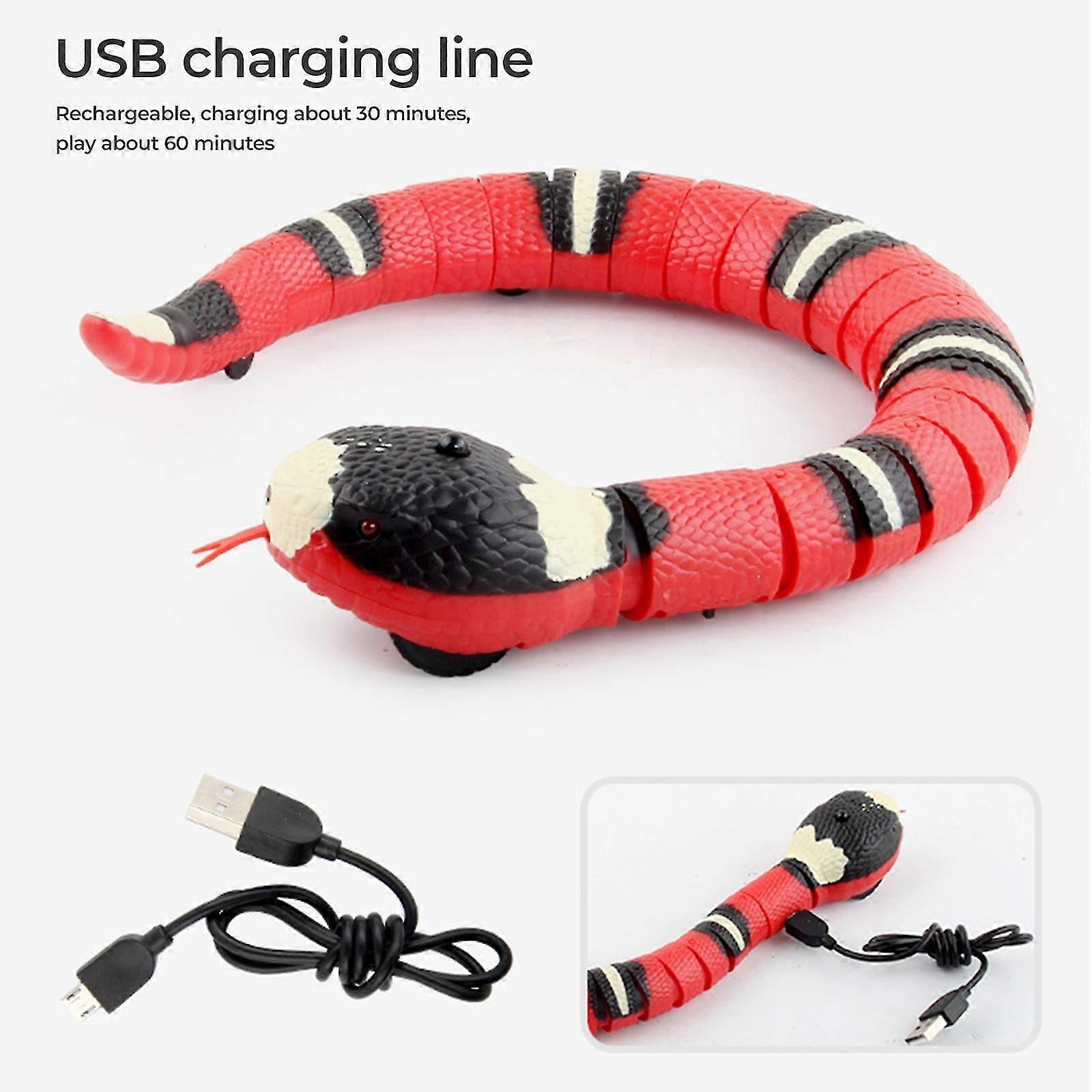 Interactive Snake Smart Cat Toy