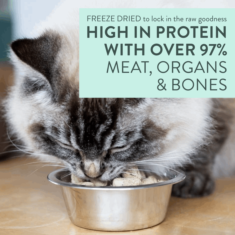 Cat eating from a bowl with text about high-protein, freeze-dried pet food.