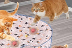 Two cats playing with a red ball on a mat with cat designs.