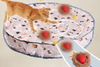 Cat playing with a toy on a patterned mat