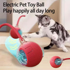 Cat playing with an electric pet toy ball on a wooden floor.