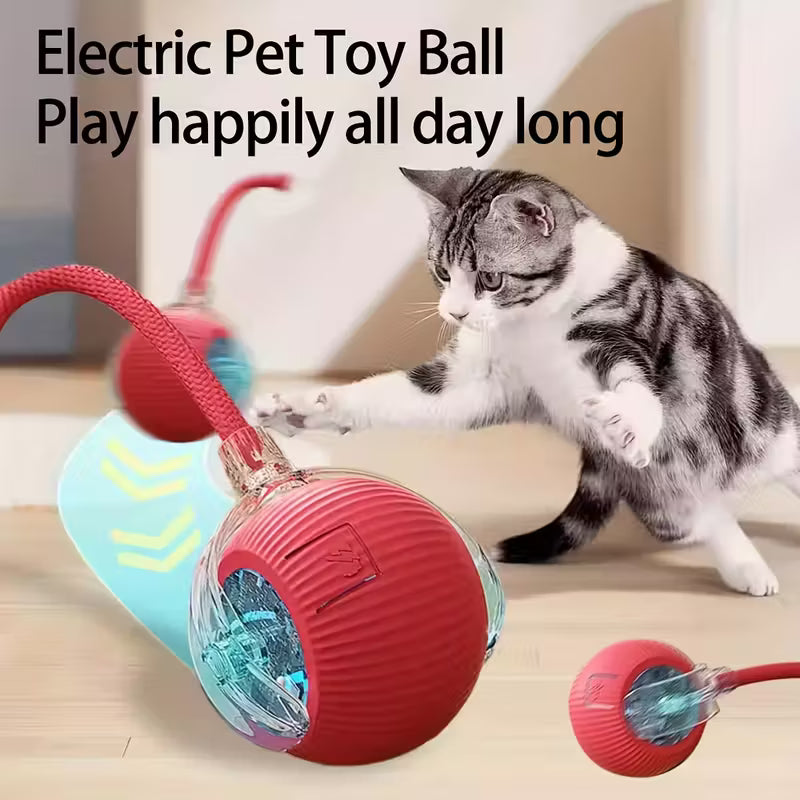 Smart Teasing Ball Cat Toy