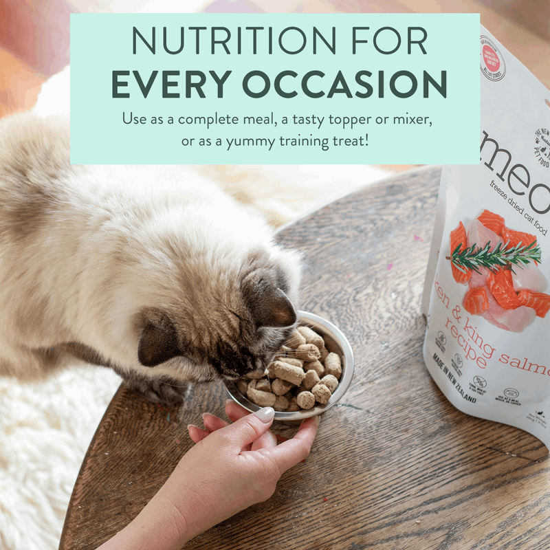 Cat eating from a bowl with a hand, next to a bag of pet food on a wooden surface.