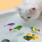 White cat playing with colorful fish-shaped toys in water