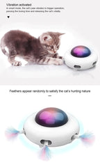 Cat playing with a toy that vibrates and has colorful feathers