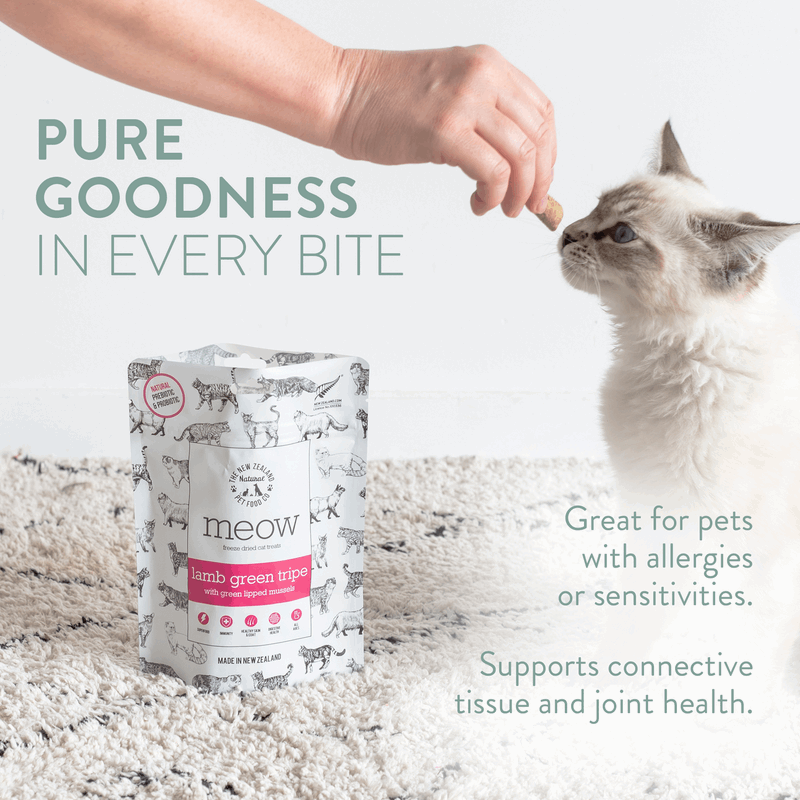Cat eating from a bag of 'meow' pet food with text about the product's benefits.