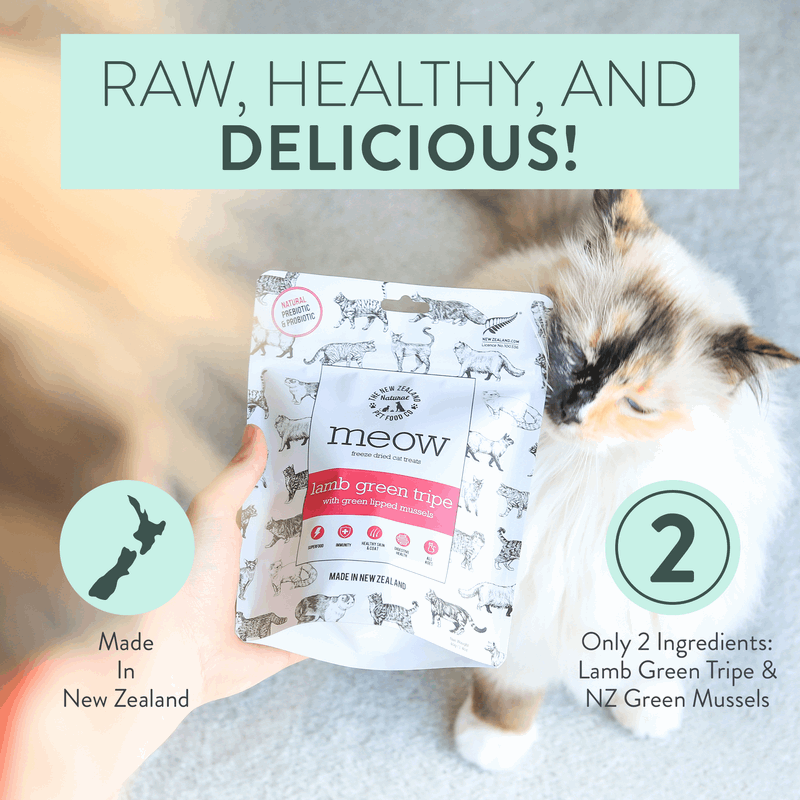 Cat with a package of 'meow' pet food, text about ingredients and origin.