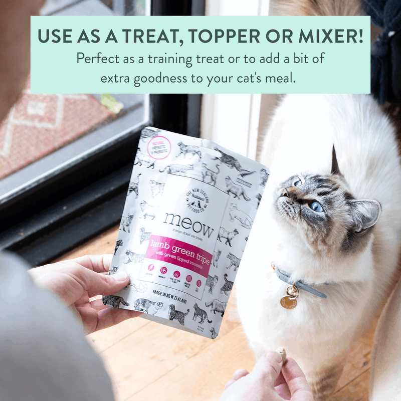 Cat food package with a cat looking at it, held by a person.