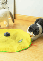 Cat playing with a yellow toy on a wooden floor