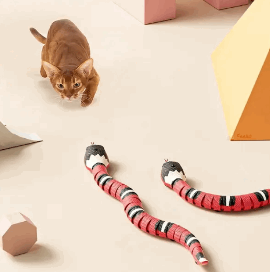 Cat playing with a striped snake-shaped toy on a light surface