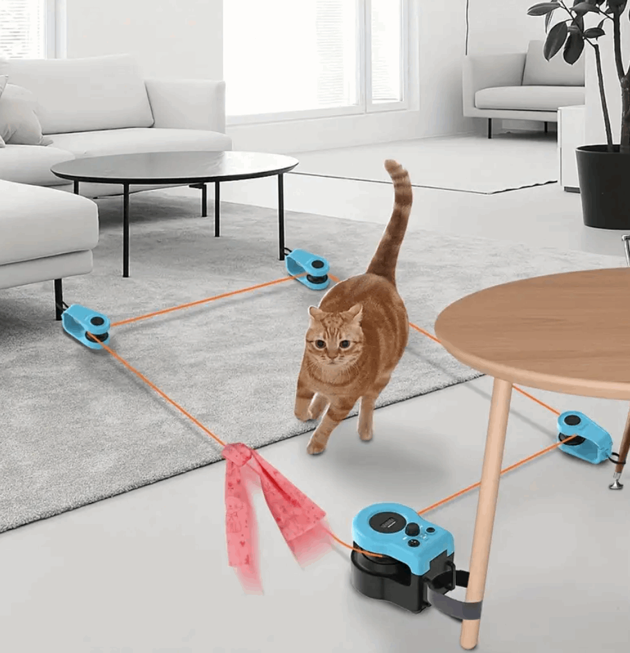 Cat playing with a toy device in a modern living room