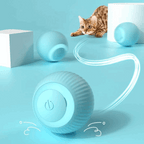 Blue pet toy with a cat on a blue background