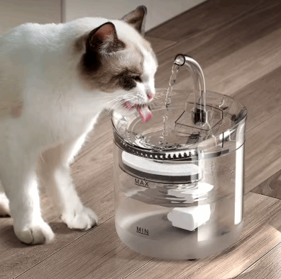 Cat drinking water from a clear pet fountain on a wooden floor.
