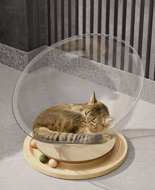 Cat lying inside a transparent dome-shaped pet bed on a stone floor.