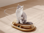 Cat sitting on a transparent glass platform with wooden base on a wooden floor