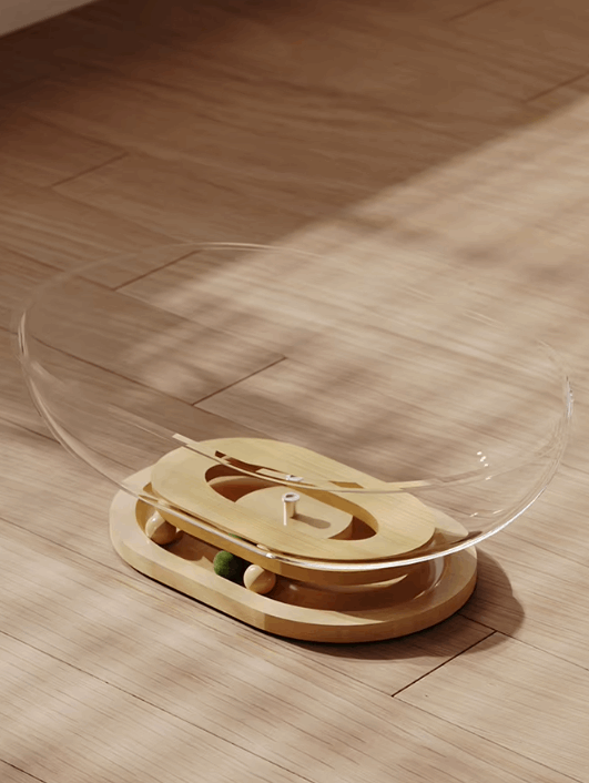 Wooden toy with transparent dome on a wooden floor