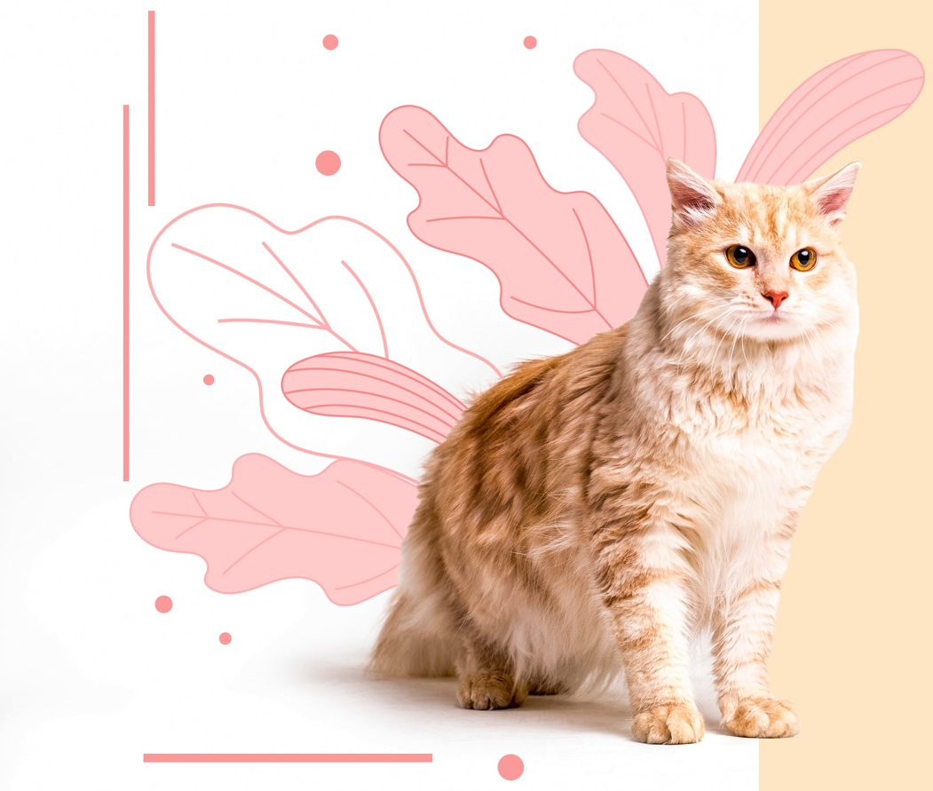 Cat with graphical leaves on the background